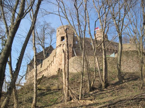 Alemannenweg – Kuralpe – Schloss Auerbach
