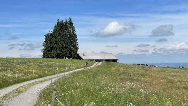 Hochbergalpe