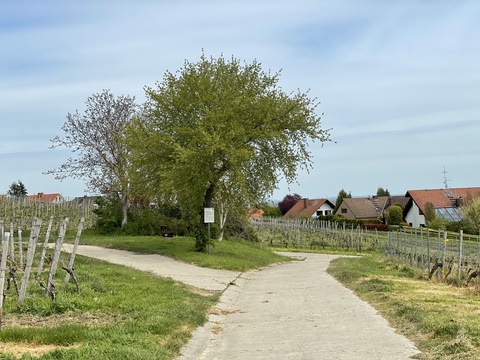 Weggabelung an der Mahlsteig