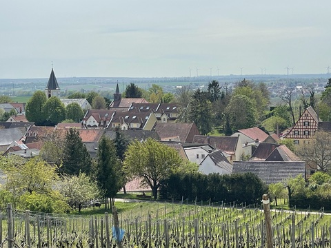 Blick über Harxheim