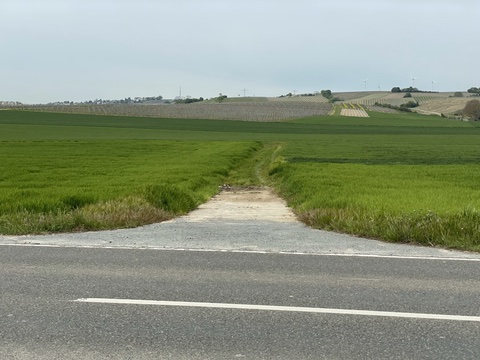 Überquerung der Rheinhessenstraße