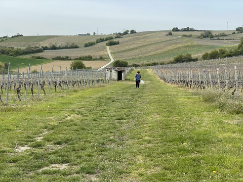 Feldweg auf der Nack