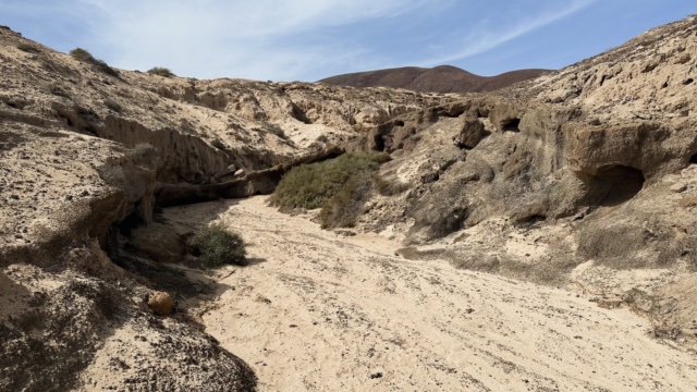 Der Barranco de los Conejos Der Barranco de los Conejos