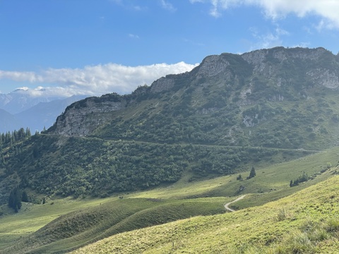 Almenrunde am Hahnenkamm bei Reutte