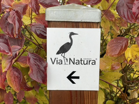 Via Natura – Rundwanderung bei Hahnheim