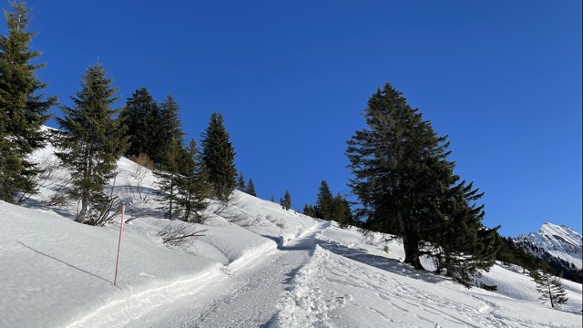 Anstieg zum Höhenweg hinauf