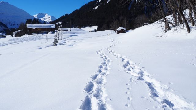 Holzgauer Hängebrückenrunde (Winter)