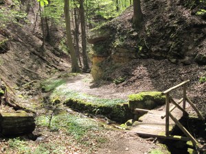 Seltenbachschlucht bei Klingenberg