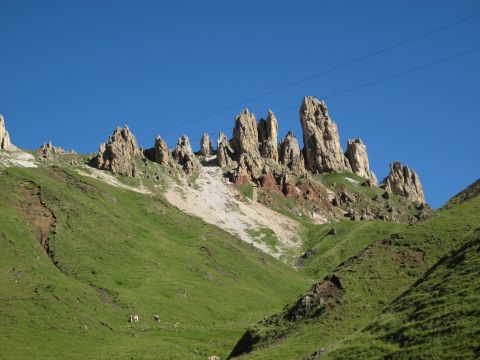 Friedrich-August-Weg