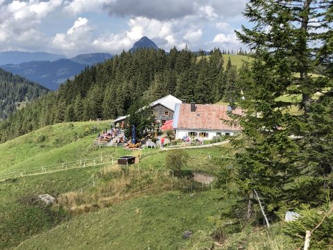 Nesselwängler Edenalpe