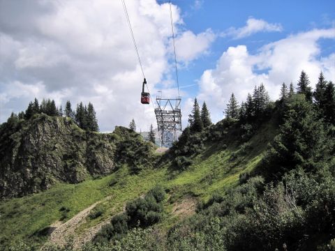 Walmendinger Alpe und Walmendinger Horn