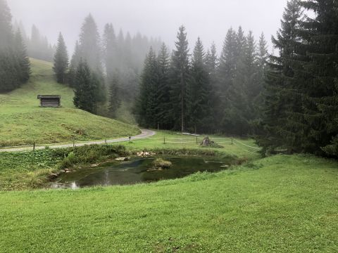 Lechtal – Wasenrunde – Tour zur Jausenstation Wase