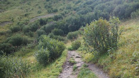 Zafernrundweg - Stück vor dem Gumpener Grätle