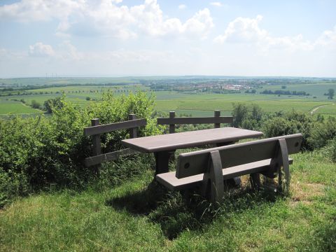 Auf den Spuren der Ebersheimer Weinwanderung