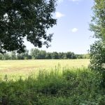 Queichwiesen-Rundwanderweg