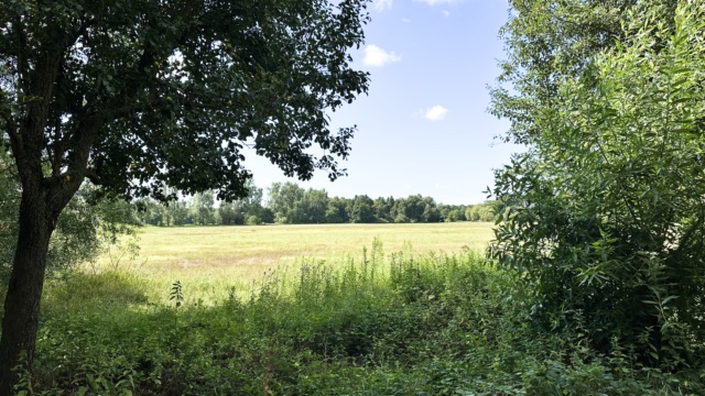 Queichwiesen-Rundwanderweg