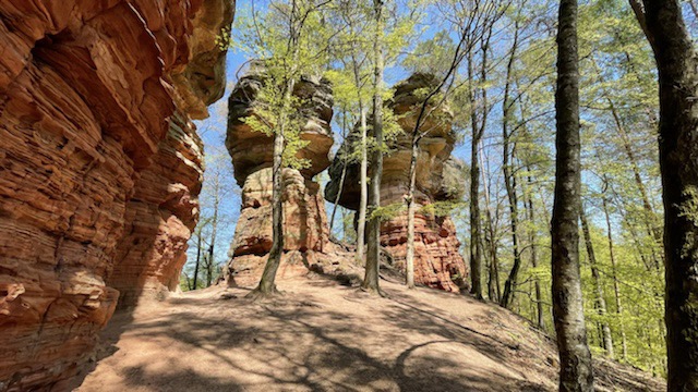 Altschloßpfad bei Eppenbrunn