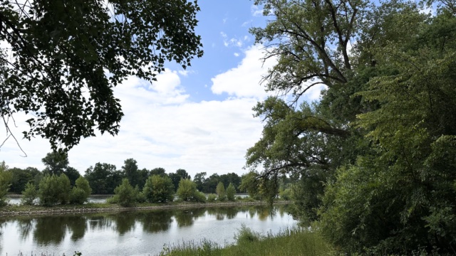 Gutenbergweg