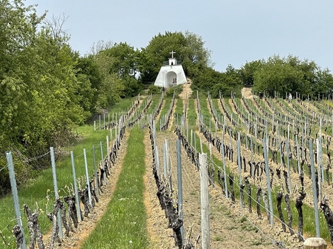 Unterwegs auf dem Harxheimer Rundwanderweg