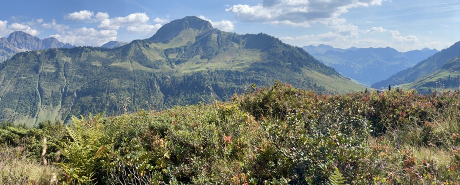 Rund über die Brandalpe