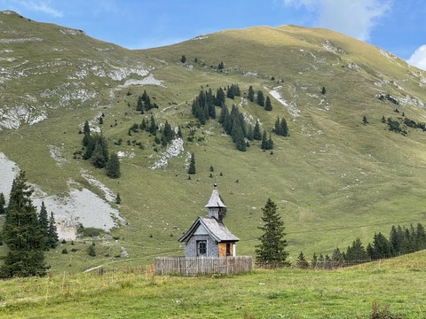 Damüls – Almenrunde im Schatten der Kanisfluh