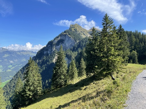 Mellau – Tour zum Alpengasthaus Edelweiß