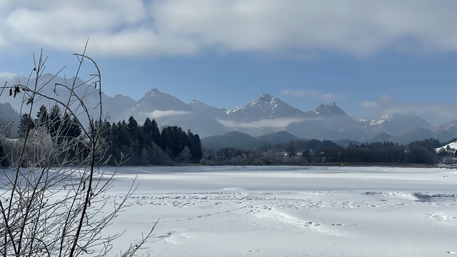 Forggensee-Rundweg (Winterwanderweg)