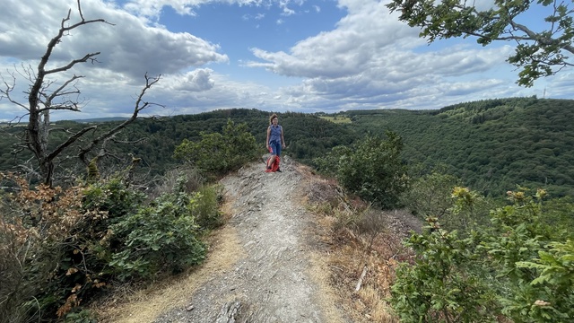 Bernkasteler Bärensteig