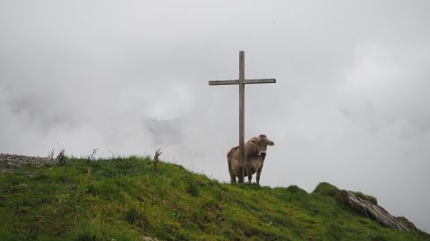 Von Damüls zur Alpe Ragaz und zurück