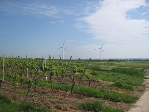 Radtour rund um Undenheim