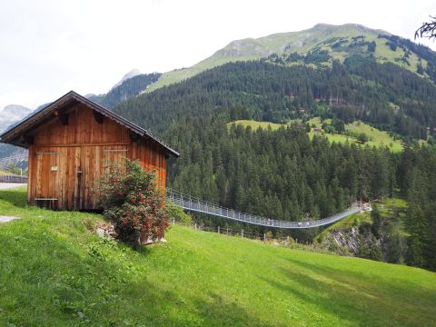 Holzgauer Hängebrücke