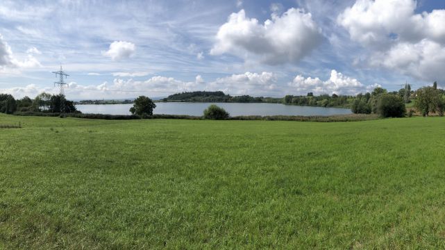 Neuweiher (Andelshofener Weiher)