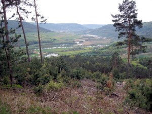 Collenberg – Rundwanderung am Burgberg