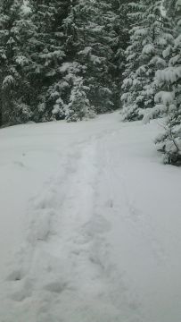 Schneeschuhwanderung – Zum Crep de Sela und zurück