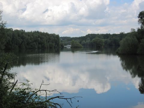 Haubentaucherweg auf dem Kühkopf