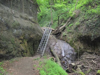 Bodensee-Rundweg – Ludwigshafen nach Andelshofen