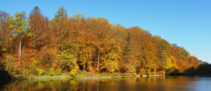 Der Paradiesgartenweg bei Hornbach in der Pfalz