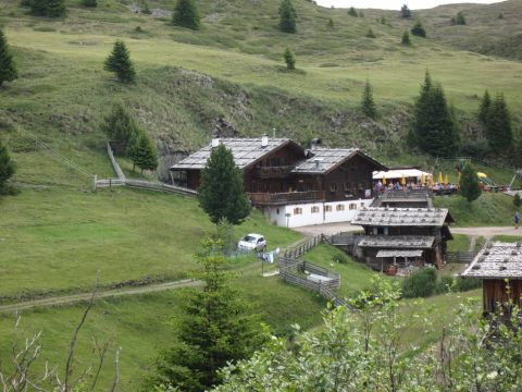 Arnika-Hütte