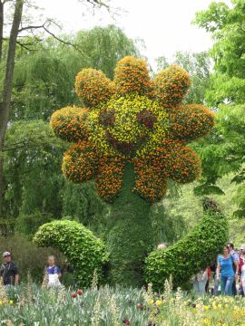 Seegang – Etappe 8 – Von der Insel Mainau nach Konstanz