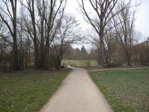 Runde durch das Naturschutzgebiet an der Selz