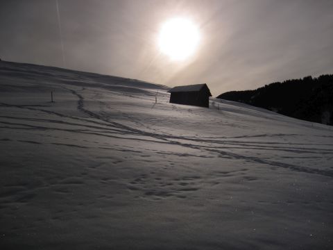 Schneeschuhwanderung – Durch das Tschamintal