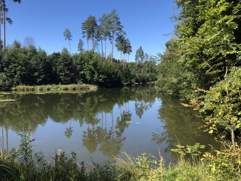 Weihertour bei Deisendorf