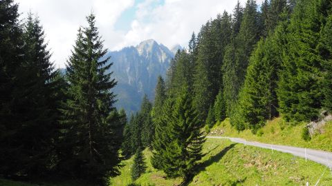 Zafernhornrundweg - Abstieg nach Faschina