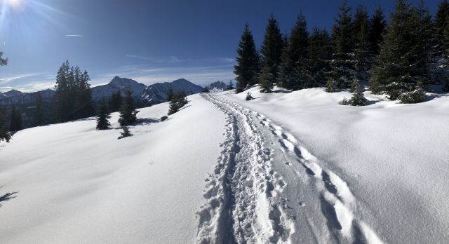 Zugspitzblick-Runde – Berg – Lohmoos – Zöblen